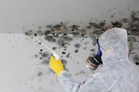 Best Mold Prevention Services in Norwalk, OH